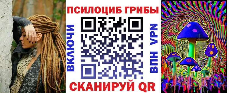 как найти закладки Монино даркнет клад Псилоцибиновые грибы Magic Shrooms